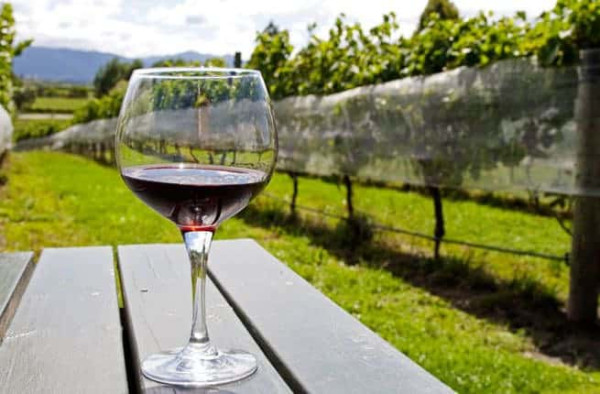 9 marlborough new zealand wine vineyard
